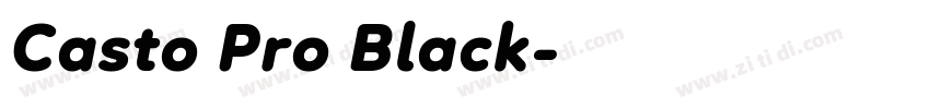 Casto Pro Black字体转换